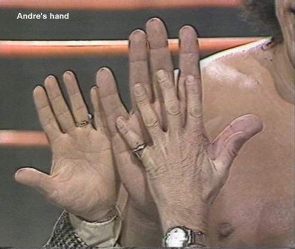 Andre Had Massive Hands - Myths and Facts About Andre The Giant.